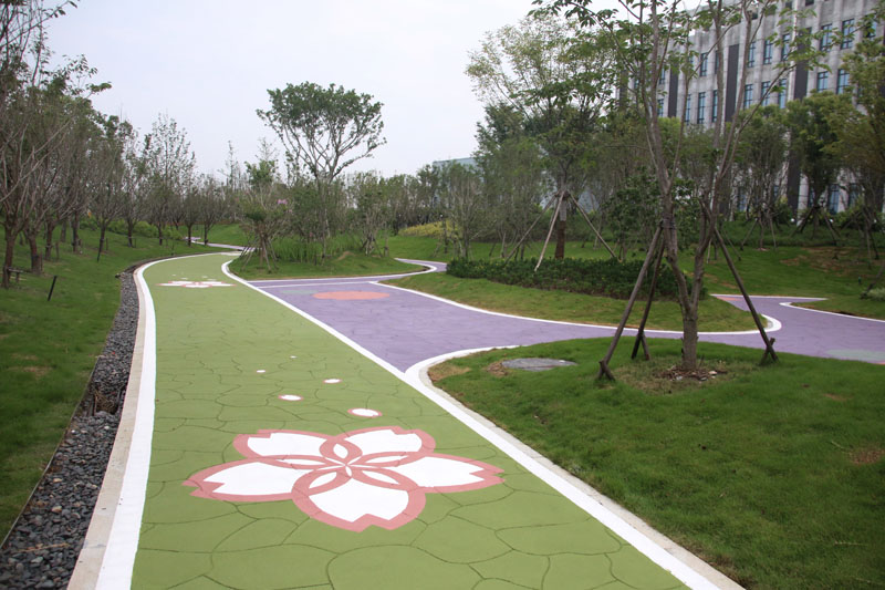 温州市瓯江口樱花小道